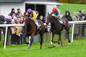 Erome dudinha eduarda spent some time to journey over the