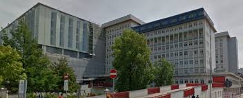 In borgo roma a due passi dall università e dall ospedale, al piano alto intermedio, proponiamo bilocale di mq 65, ottima soluzione anche per investimento Il Futuro E Una Cellula Staminale Ospedale Borgo Roma Venerdi C E L Unistem Day Verona News