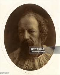 570 Henry Eggs Stock Photos, High-Res Pictures, and Images