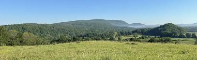 Buttercup Farm Red and Blue Trail Loop, New York - 11 Reviews, Map ...
