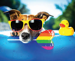 Los Angeles Blade, Volume 07, Issue 21, May 26, 2023 by Los Angeles Blade -  Issuu