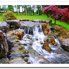 Pin On Japanese Gardens Beautiful Bonsai Trees