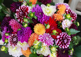 Complex and artistic jigsaw puzzles make great commemorative gifts, corporate promotions or educational toys. In The Flower Shop Jigsaw Puzzle In Flowers Puzzles On Thejigsawpuzzles Com Flower Shop Flowers Jigsaw Puzzles