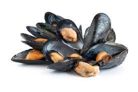 * vi + adv cerrar el pico * , no decir ni pío. Listen To An Expert Would Say Moules Find Out Today Moules Pronunciation