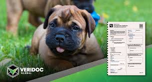 Some people want to get a purebred puppy and think their only option is to go to a local pet store or dog breeder near them. Blocking Puppy Farms With Blockchain By Veridoc Global Medium