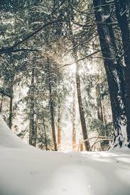 Winter wallpapers, backgrounds, images— best winter desktop wallpaper sort wallpapers by: Winter Wallpapers Free Hd Download 500 Hq Unsplash