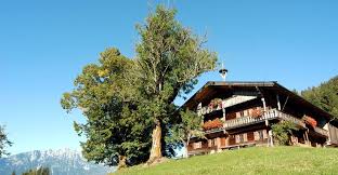 The bergdoktorhaus also served as the setting for three episodes of felix mitterer's tatort, which were filmed here. Bergdoktor E Bike Tour Panorama Bergfex Radfahren Tour Tirol