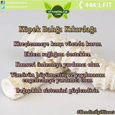 kopek baligi kikirdagi iceren urunlerimize resme tiklayarak ulasabilirsiniz vitaminler vitaminlercom vitamin saglik s vitaminler saglikli yasam biyotin