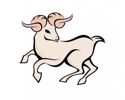 Image result for aries image