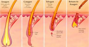 Knowing about the equipment and process of a. How Does Laser Hair Removal Work Wembley Clinic