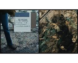 Graphic Content: Ted Bundy Crime Scene Photos