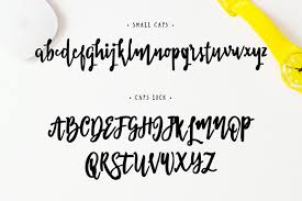Brush script std font subfamily identification: Scriblle Script Std Font Free For Personal