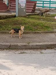 Buonasera a tutti, gentilmente, mi sapete indicare i migliori asili nido a  Giugliano per un bimbo che ad ottobre compirà 2 anni? Quindi deve essere  ottimo in tutto, dal cibo all'educazione ecc..