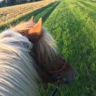 Kristall Form Klebespiegel Touch 60 Cm X 160 Cm Inkl Klebeband Kaufen Bei Obi Klebespiegel Spiegel Klebeband