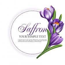 Poster Or Label With Flowers Of Saffron Banner Poster Saffron Png And Vector With Transparent Background For Free Download Saffron Flower Round Labels Saffron Flower Logo