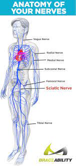 Pin On Back Injuries Spine Disorders What S Causing My Back Pain Lower Middle Upper Back Problems