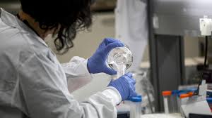 Will a future covid booster shot need to be from the same company that you received your initial covid vaccinations from? How The Anti Vaccine Community Is Responding To Covid 19