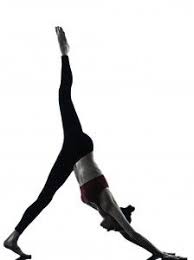 One Legged Downward Facing Dog Eka Pada Adho Mukha Svanasana Namaste Yoga Yoga Meditation Yoga Life