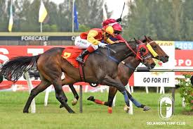 Dua musuh tradisi, selangor dan singapura bersemuka kembali. Ready To Rocks The Piala Emas Sultan Selangor Cup Selangor Turf Club