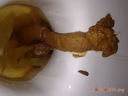 Résultat de recherche d'images pour "гавно"