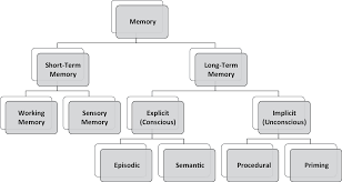 Restoring healthy neurovascular coupling in your brain is possible, but your brain needs the right push to many of them are made and marketed for older children and adults, although there are still plenty of options. Evidence Based Cognitive Rehabilitation Section 1 Cognitive Rehabilitation For Pediatric Neurological Disorders