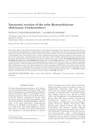 Image result for Hymenodictyon parvifolium