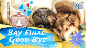 We do offer to hold the ashes until the family is ready to handle that…it can be very emotional still. Treasure Your Pet Gracefully Eternity Letter Celebrate Life And Gift Emotions Beyond Imagination
