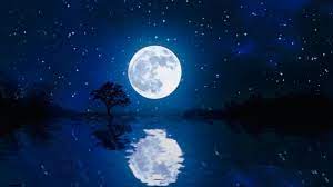 Night Moon Reflection On Water 3d Animated Nature Background Video No Copyright Stock Footage Youtube