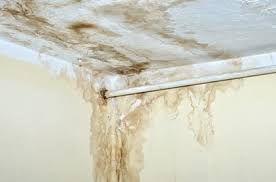How long does it take for black mold to grow after water damage. Mold From Water Damage Health Issues Safe Removal