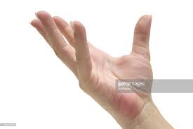 Female Hand Holding Something White Background Hand Holding Something Hand Reference Human Reference