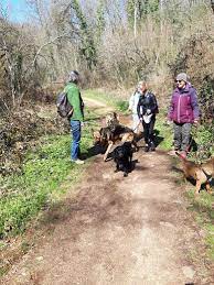 Horaires association humanitaire, d'entraide, sociale. Rodez 1 Toit Pour Toi Depuis 4 Ans Aux Cotes Des Animaux Centrepresseaveyron Fr