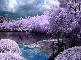 Pin By Massageenvynbrook On Purple Spring Desktop Wallpaper Spring Wallpaper Spring Screensavers