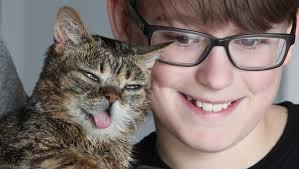 Lil Bub at Catsbury Park Cat Convention