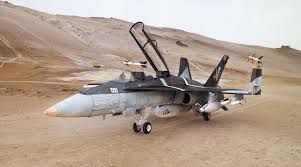 >40,000 lb primary mission / capabilities: Carmine Napolitano F 18 Hornet