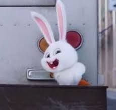 Lukisan kartun kucing comel cikimm com. 120 Arnab Comel Ideas In 2021 Haiwan Lukisan Disney Kesenian Islam