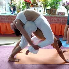 Double Down Dog Partner Yoga Couples Yoga Partner Yoga Poses