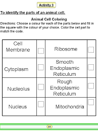 Color each part of the cell its designated color. First Semester Grade 10 Advanced Unit 2 Cell