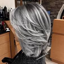 Pin By Esperanza Sanchez On Hair Color Gray Hair Highlights Hair Highlights Grey Hair Color