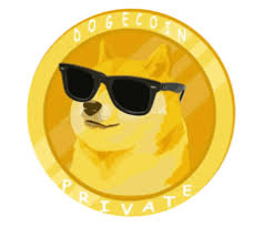By downloading dogecoin vector logo you agree with our terms of use. Dogecoin Private Price Dogp Price Index Chart And Info Coingecko