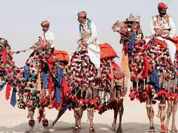 Events the city of bikaner is known throughout the world as one of the best breeding grounds for superior camel breeds; Camel Festival Bikaner 2018 à¤Š à¤Ÿ à¤® à¤² à¤¬ à¤• à¤¨ à¤° 2018 Hindi Nativeplanet
