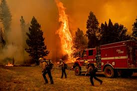 California wildfire forces thousands to evacuate | News | DW