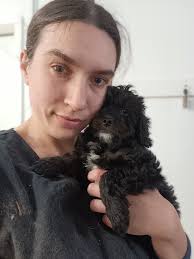 Laura's Mobile Grooming