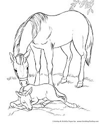 Printable Horse Coloring Pages Www Robertdee Org If you want colored picture to print then click print link for color. printable horse coloring pages www