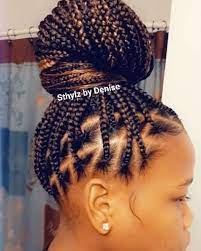 Braided Bun Hairstyles A Guide To Perfection Curly Craze Bun Hairstyles Natural Bun Hairstyles Hair Styles