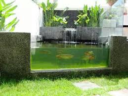 Arowana Pond Fish Pond Gardens Small Water Gardens Ponds Backyard