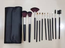 mac 12 pcs makeup brush set