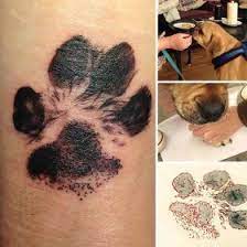 Tetování kočičích tlapek je především záležitostí žen, ale najdou se i muži s tímto tetováním. Tetovani Motivy Psi Tlapky Seznam Cz