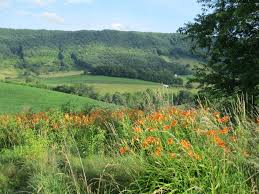 Hours may change under current circumstances 23 Tazewell Va Where I Grew Up Ideas Tazewell County Grayson Highlands Virginia
