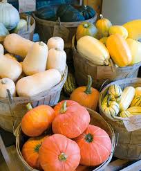 Summer squash—like zucchini, crookneck, and patti pan—are harvested small, while the skins are still soft. Winter Squash Growing Information How To Plant Grow Harvest