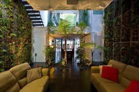 Everything you need for your windowsill herb garden: Ein Indoor Garten In Singapur Die Natur In Die Wohnung Einladen